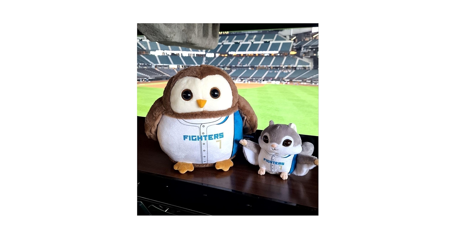 Amazon.co.jp: ファイターズ 動物ぬいぐるみくじ 松本剛 2等